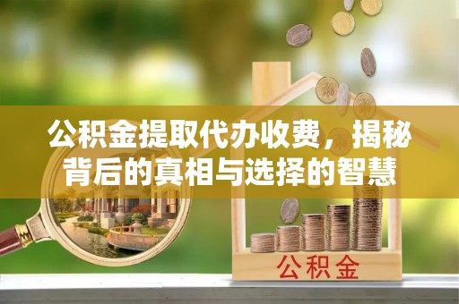 城步公积金提取代办收费，揭秘背后的真相与选择的智慧