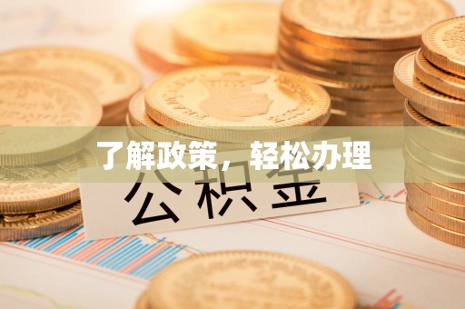 城步了解政策，轻松办理