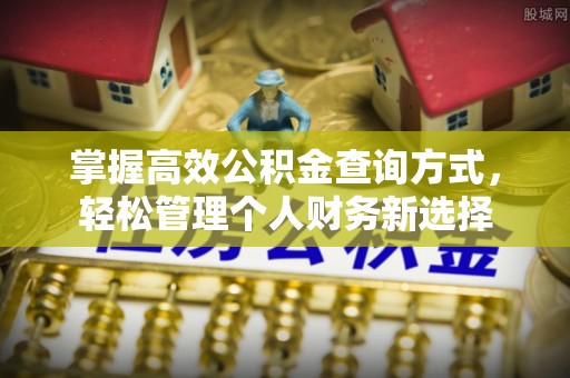 城步掌握高效公积金查询方式，轻松管理个人财务新选择
