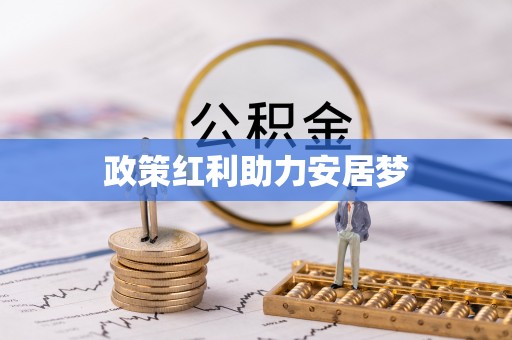 城步政策红利助力安居梦