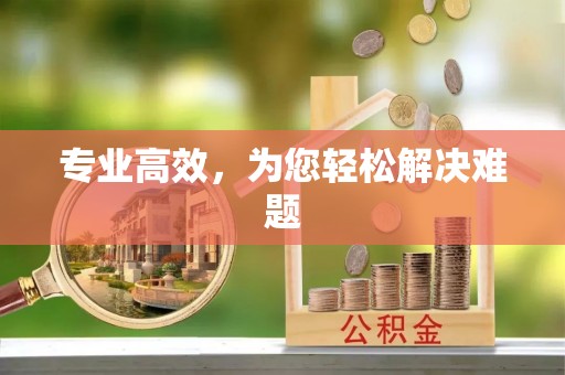 城步专业高效，为您轻松解决难题