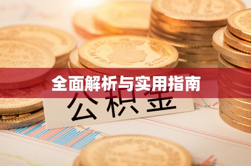 城步全面解析与实用指南
